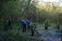 SACV coppicing at Sale Water Park i