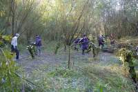 SACV coppicing at Sale Water Park iii
