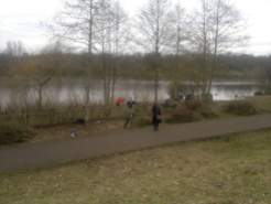 Removing encroaching trees from a reed bed at Chorlton Water Park