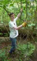 Volunteer in Priory Gardens 2