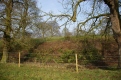 The cleared rhododendrons 2