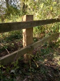 Repaired fencing