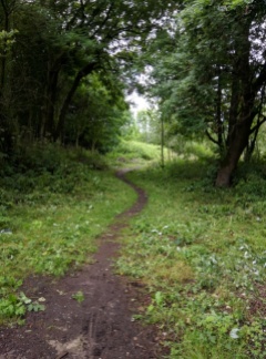 Widening the path at Sale Water Park