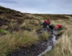 Improving the drainage from the path