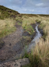 The improved path and drainage