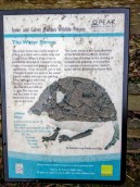 The water shrew - information sign