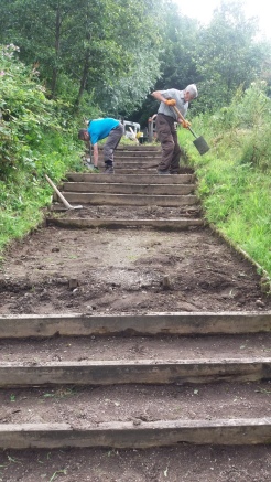 Volunteers working on steps