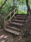Completed steps
